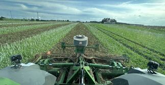 Blick aus dem Trecker nach hinten während des Düngevorganges