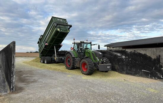 Trecker lädt Silage am Lagerort auf dem Bauernhof ab
