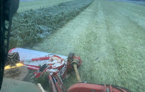 ein Traktor mit einem Frontmähwerk auf dem Feld bei der Arbeit